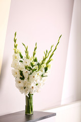 Vase with beautiful white gladiolus flowers on wooden table near color wall