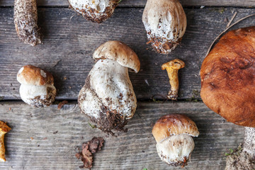 Autumn fall composition. Variety raw edible mushrooms Penny Bun Boletus leccinum on rustic table. Ceps over wooden dark background. Cooking delicious organic mushroom gourmet food. Flat lay top view
