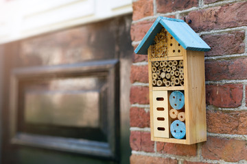 Insect hotel at the brick wall, Holland © pikselstock