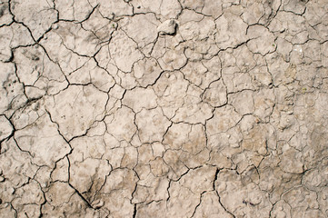 Dried clay earth with shaped cracks with a complete lack of vegetation in sunlight. Texture