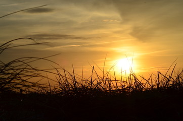 Abendstimmung