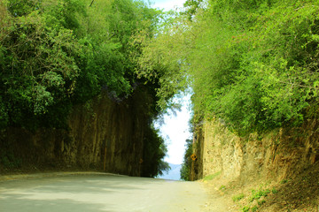 Camino de Cubierto de Arboles en el Pueblo Antiguo Santiago, Nuevo León, México