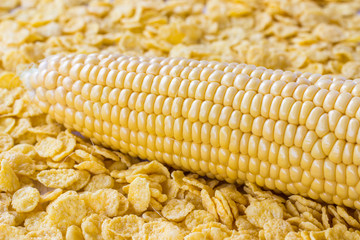 Raw corn cob and cornflakes closeup.