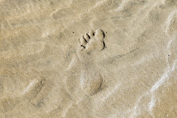 Fototapeta na wymiar Marcas de agua en arena de playa