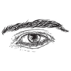 Fototapeta premium Human male eye in hand drawn style. Anatomy of vision organ element. Vector.