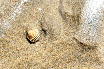 Fototapeta na wymiar Marcas de agua en arena de playa