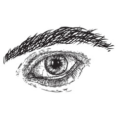 Obraz premium Human male eye in hand drawn style. Anatomy of vision organ element. Vector.