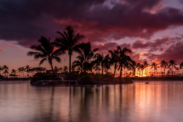 Obraz premium Sun setting on an Hawaiian beach. The sky is purple, red and orange, as the sun dips behind the silhouetted palm trees, on Oahu, Hawaii 