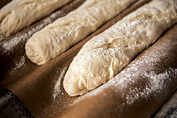 dough for baguettes in perforated channel pan