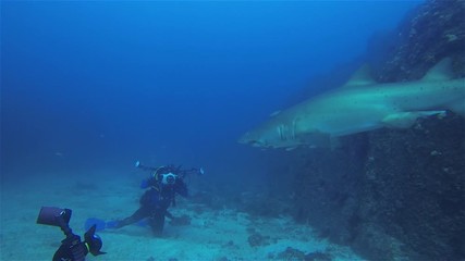Underwater Photographers. Scuba Divers Taking Underwater Photography Photos With Underwater Camera Housing & Lights Of Grey Nurse Shark.Shark Close Up & Camera Man Taking Underwater Photos In Blue Sea