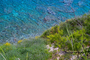 View over green bushes and wildflowers into the crystal clear blue sea, Zakynthos, Greece