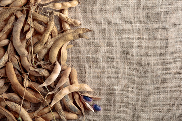 Dry bean pods with beans on the burlap.