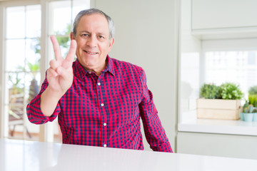 Handsome senior man at home smiling with happy face winking at the camera doing victory sign. Number two.