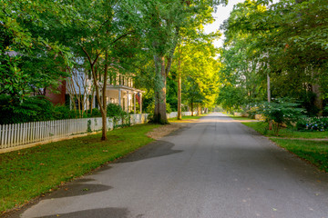 Narrow street lines with trees in a small town