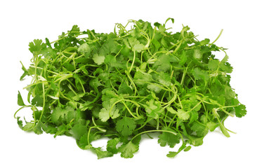 Cilantro isolated on white, top view.