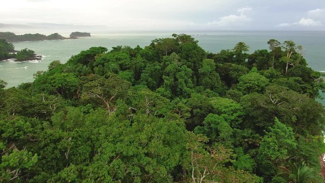 Flying above tropical rainforest on the shores of the Pacific ocean, lush green treetops in the rain season, seashore in the background, pristine nature and wild landscape scenery