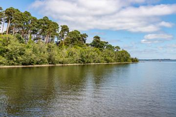 Beach and forest in Inchagoill Island