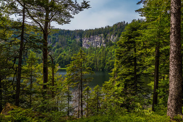 Blick auf den Feldsee im Schwarzwald unterhalb des Feldberg