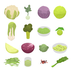 Cabbage icons set. Isometric set of cabbage vector icons for web design isolated on white background