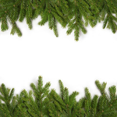 Green branches of spruce on a white isolated background. Greeting card for New Year and Christmas. Frame of evergreen sprigs of spruce.