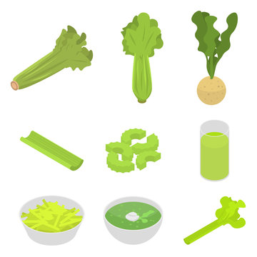 Celery icons set. Isometric set of celery vector icons for web design isolated on white background