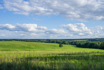 Obraz premium Rural beautiful landscape. Green field with blue sky.