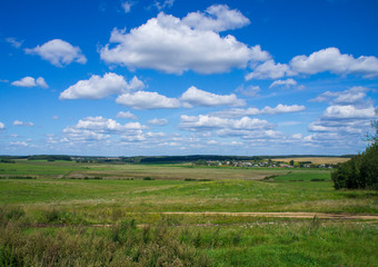 Fototapeta na wymiar Rural beautiful landscape. Green field with blue sky.
