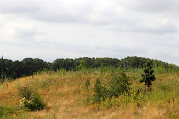 Obraz premium Un ciel menaçant en hollande