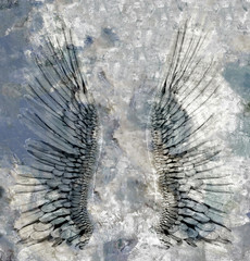 Angels wings