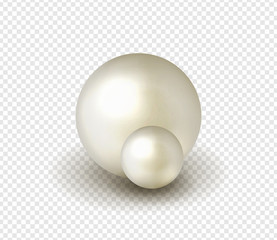 Pack nature ,sea pearl background with small and big white pearls . Vector illustration
