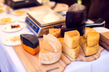 Different kinds of cheese at cheese festival. Organic and farm food