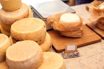 Different kinds of cheese at cheese festival. Organic and farm food