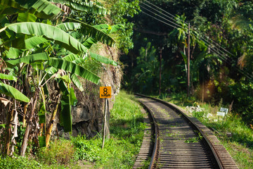 Travel piece - the small empty part of old railway to Kandy, in hot summer day. Sri Lanka.