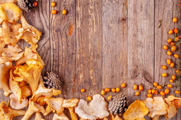 Frame from chanterelles and sea buckthorn with pine cones on wooden background. Autumn concept. Copy space