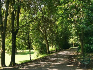 alley in the park