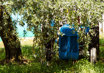Fototapeta na wymiar blue tractor in the trees