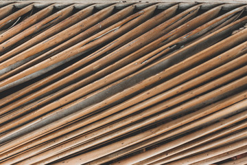 Diagonal lines of palm leaf. Shades of brown color. Good for the wall decor, menu design, art