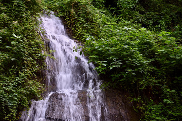 waterfall in forest