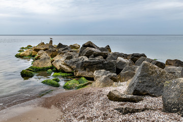 Fototapeta na wymiar Seaweed covered stones in seawater. Beach on the Baltic Sea in Central Europe. Summer season.