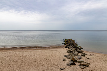 Seaweed covered stones in seawater. Beach on the Baltic Sea in Central Europe. Summer season.