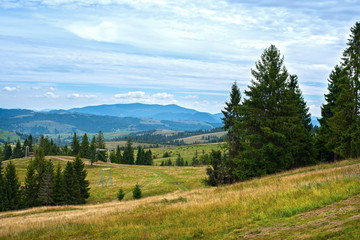 Beautiful mountain landscape - panoramic view of the Carpathian Mountains, shows how far the cows graze. Summer photo of mountain Carpathians