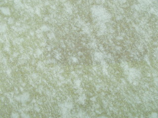  Concrete surface texture for interior design