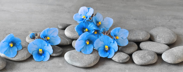 Fototapeta na wymiar Zen stones and violet flowers on grey background.