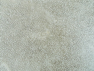  Concrete surface texture for interior design
