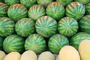 fresh watermelons and melons as background