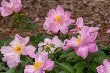 Will Rogers Park and Gardens..2