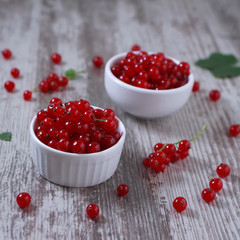 red currant in a bowl