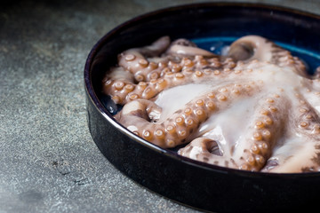 Fresh raw octopus in a bawl on dark stone background close up