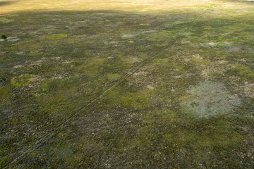 wild field, view from above