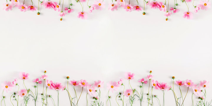 Beautiful flowers composition. Pink cosmos flowers on white background. Flat lay, top view, copy space